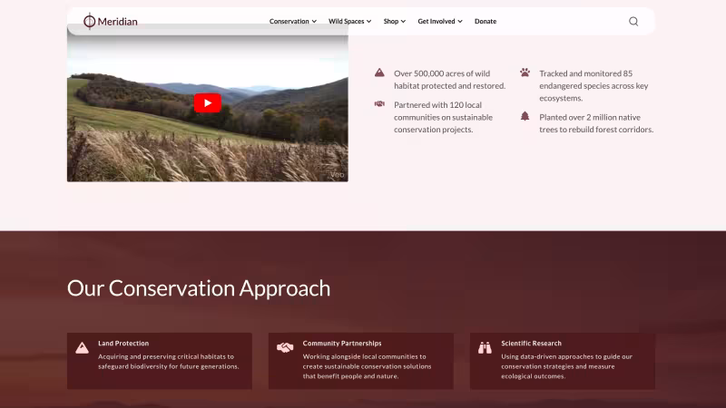 Meridian screenshot showing icon cards