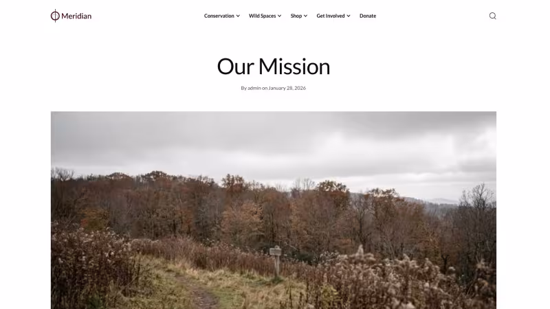 Meridian screenshot showing article hero