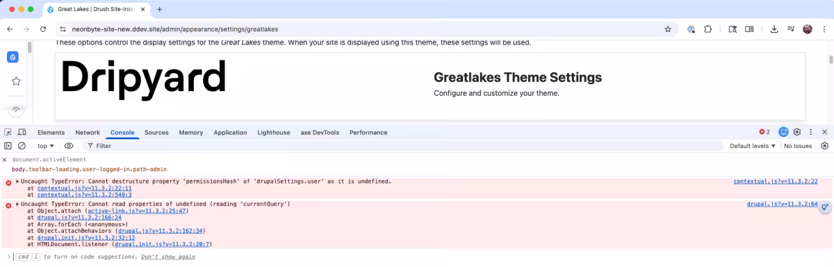Theme settings page with only two errors in the console.