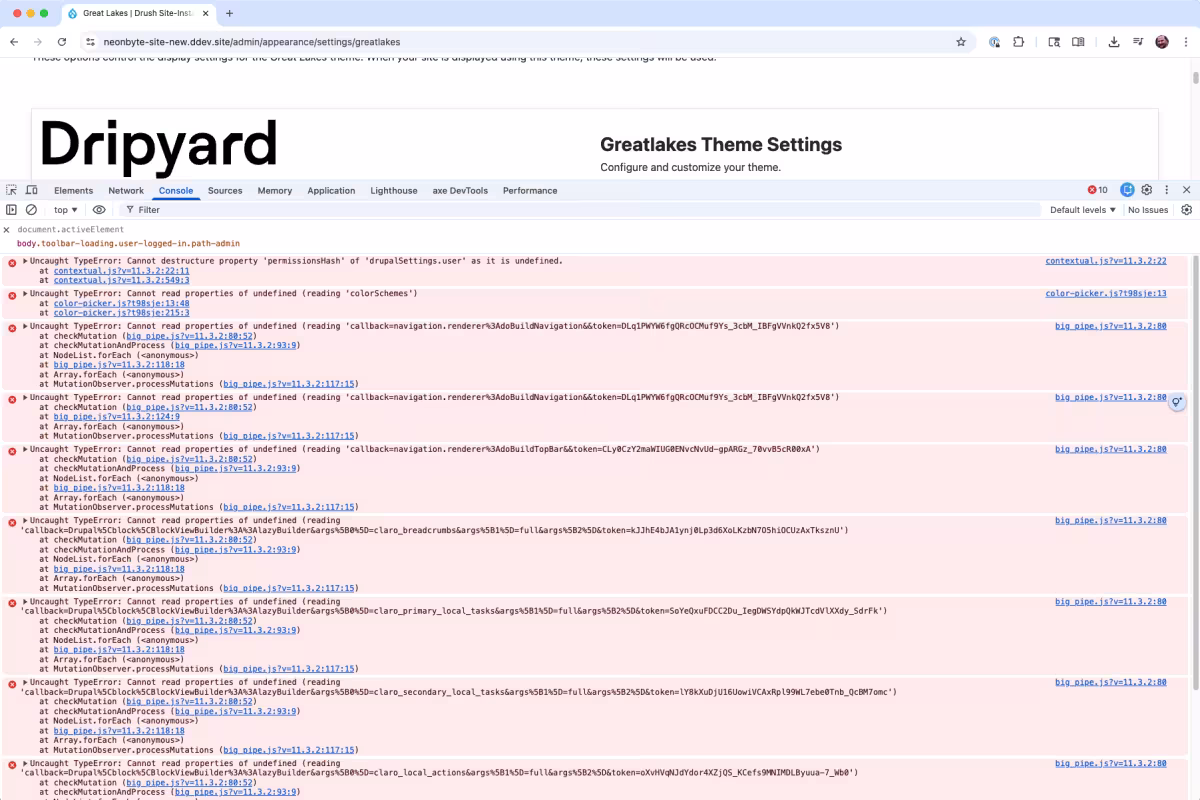 Theme settings page with tons of JavaScript errors in the console.